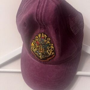 Harry Potter Warner Bros. Purple and Yellow Hat with Emblem